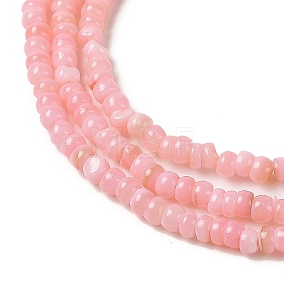 Natural Freshwater Shell Beads Strands SHEL-P017-01B-09-1