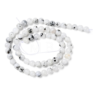 Natural Rainbow Moonstone Beads Strands G-Q1001-A05-02-1