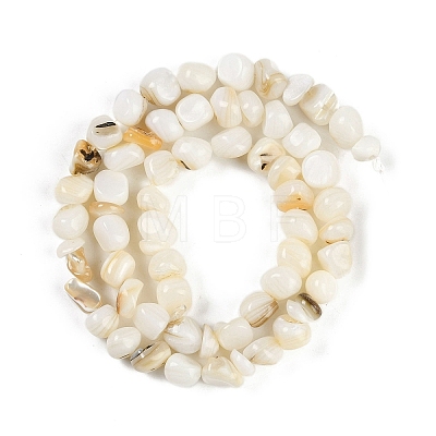 Natural Freshwater Shell  Beads Strands BSHE-H109-06-1