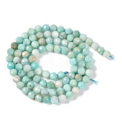 Natural Amazonite Beads Strands X-G-G139-A15-03-1