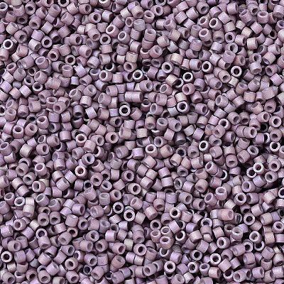 MIYUKI Delica Beads SEED-MY11-DB1064-1