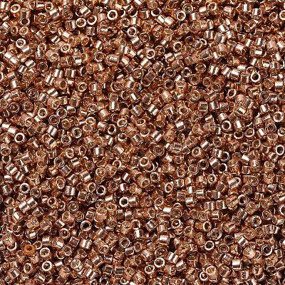 MIYUKI Delica Beads X-SEED-J020-DB1836-1