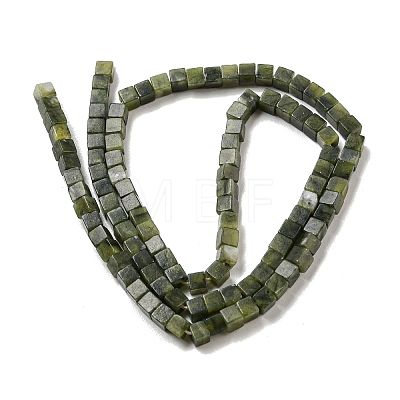 Natural Peridot Beads Strands G-C129-A04-01-1