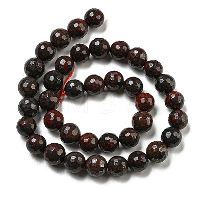 Natural Brecciated Jasper Beads Strands G-E571-A04-03-1