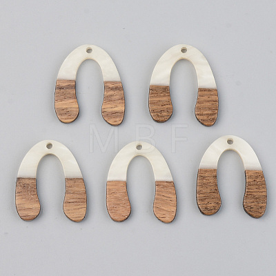 Opaque Resin & Walnut Wood Pendants RESI-S389-058B-C04-1