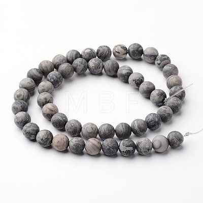 Frosted Round Natural Map Stone/Picasso Stone/Picasso Jasper Bead Strands G-J346-04-8mm-1