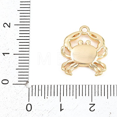 Natural Shell Sea Animal Pendants KK-H273-02G-1