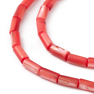 Natural Freshwater Shell Dyed Beads Strands SHEL-M018-11-07-1