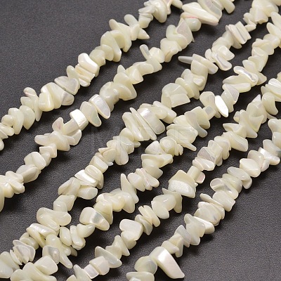 Natural White Mother of Pearl Shell Chip Bead Strands G-M205-63-1