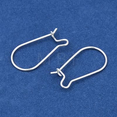 925 Sterling Silver Hoop Earrings STER-S002-55-1