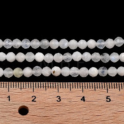 Natural Rainbow Moonstone Beads Strands G-G140-A13-03-1