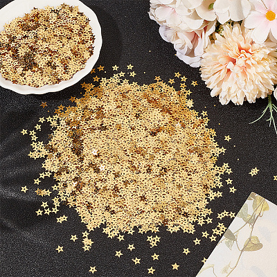 100G PET Paillette/Sequins Pendants KY-CY0001-24A-1