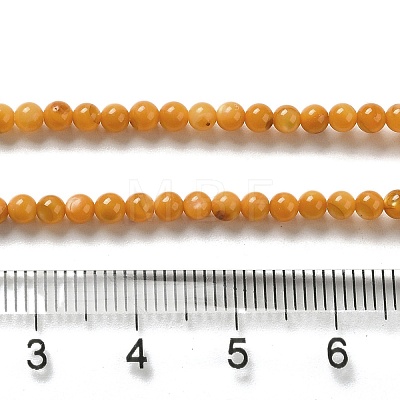 Natural Freshwater Shell Beads Strands SHEL-H003-03E-1