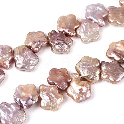 Natural Baroque Keshi Pearl Beads Strands PEAR-S020-A04-02-1