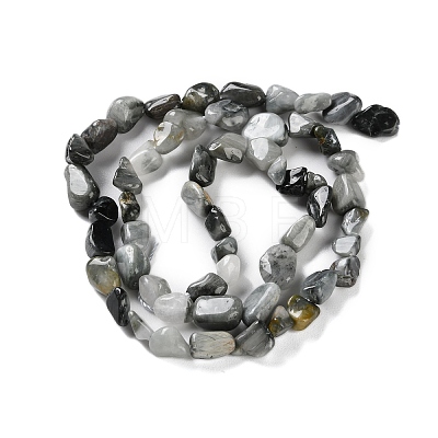 Natural Eagle Eye Stone Beads Strands X-G-P497-01C-52-1