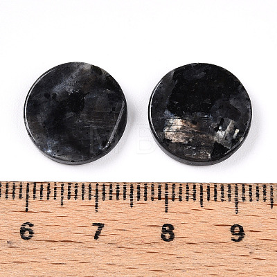 Natural Larvikite Cabochons G-T141-33C-1