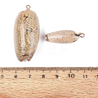 Electroplate Natural Spiral Shell Pendants SSHEL-Q100-53G-1