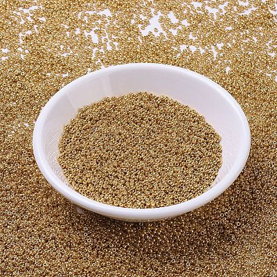 MIYUKI Round Rocailles Beads X-SEED-G007-RR4203-1