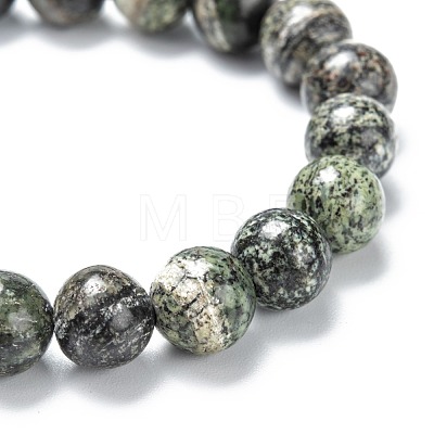 Natural Zebra Jasper Stretch Beaded Bracelets G-A185-01B-1