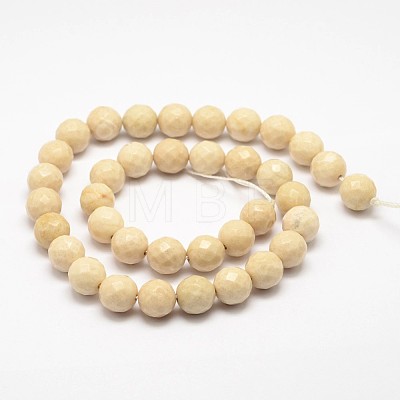 Natural Fossil Round Bead Strands X-G-O151-02-10mm-1