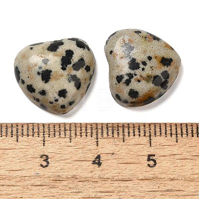 Natural Dalmatian Jasper Cabochons G-F776-02A-22-1