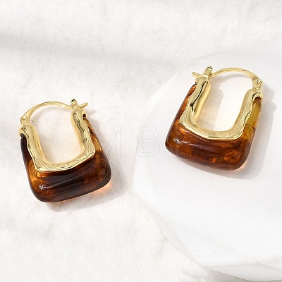 Brass Resin Hoop Earrings EJEW-P333-11B-G02-1