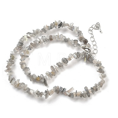 Natural Labradorite Chip Beaded Necklaces for Men Women NJEW-G159-01W-1