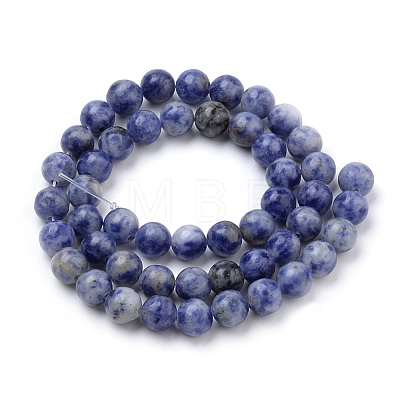 Natural Brazil Blue Spot Jasper Beads Strands G-S259-36-8mm-1