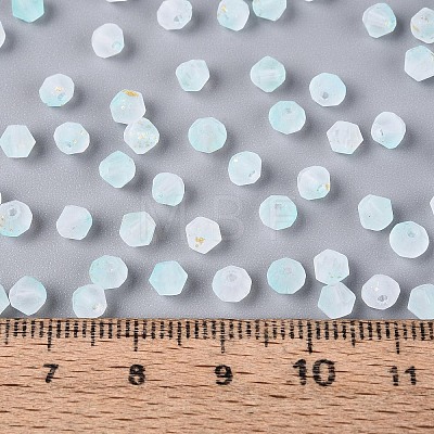 Frosted Glass Seed Beads SEED-N012-01C-1