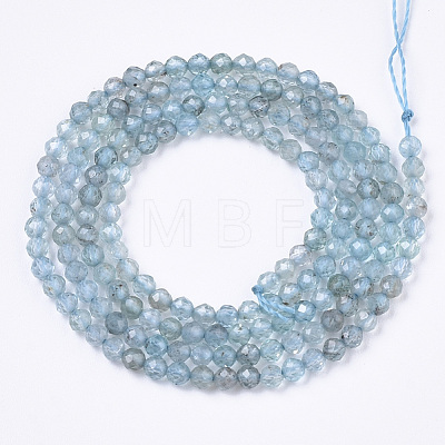 Natural Apatite Beads Strands G-R462-026A-1