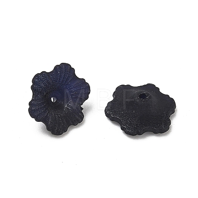 Transparent Acrylic Beads X-PL561-12-1