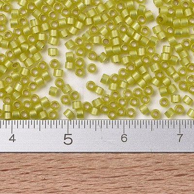 MIYUKI Delica Beads SEED-J020-DB2187-1