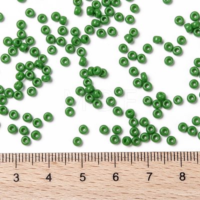 MIYUKI Round Rocailles Beads X-SEED-G008-RR0411-1
