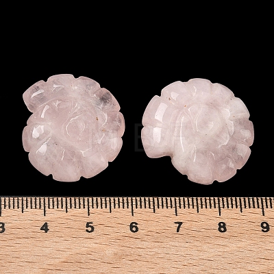Natural Rose Quartz Conch Display Decorations DJEW-D303-01F-1