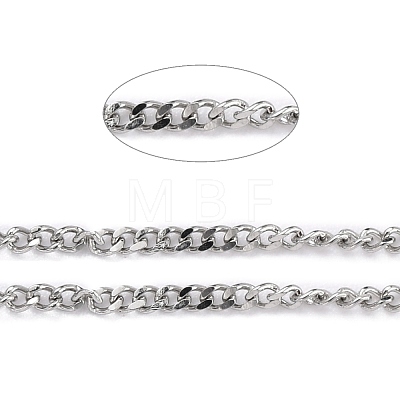 304 Stainless Steel Curb Chains CHS-D033-02P-02-1