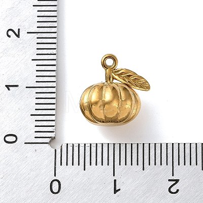 304 Stainless Steel Charms STAS-D203-01G-1
