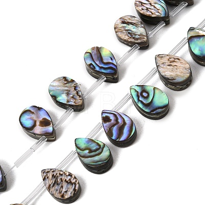 Natural Abalone Shell Paua Shell Beads Strands SH-CBA69D1-02-1