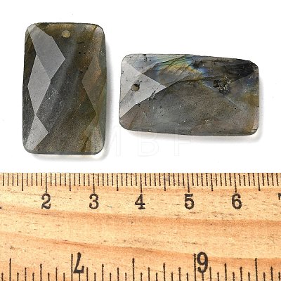 Natural Labradorit Pendants G-Z071-04H-1