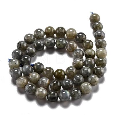 Natural Labradorite Beads Strands G-G212-8mm-23-1