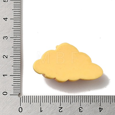 Opaque Resin Imitation Food Decoden Cabochons X-CRES-H001-03B-1