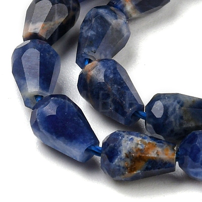 Natural Sodalite Beads Strands G-C080-B05-01-1
