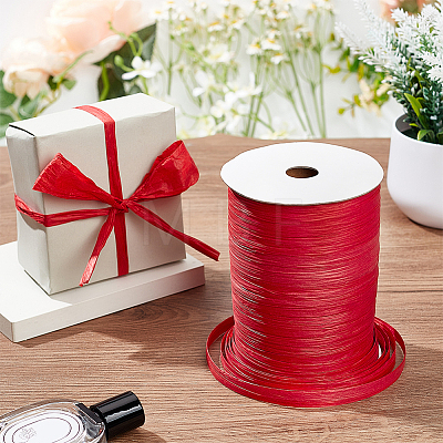 BENECREAT Flat Raffia Paper Ribbon OCOR-BC0006-20B-1