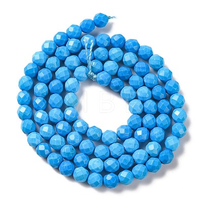 Natural Howlite Beads Strands G-C025-02C-10-1