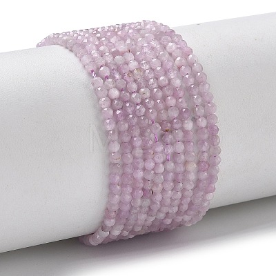 Natural Kunzite/Spodumene Beads Strands G-L651-C12-2mm-01-1