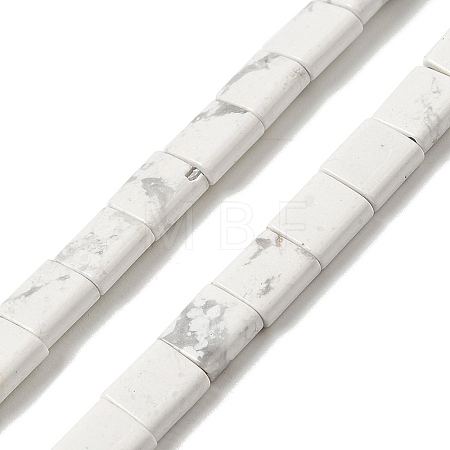 Natural Howlite Beads Strands G-F762-A12-01-1