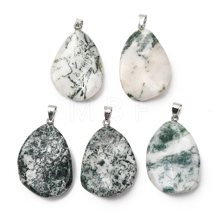 Natural Tree Agate Pendants GG-K002-05J-1