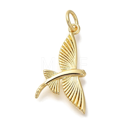 Rack Plating Brass Pendants KK-I720-34G-1