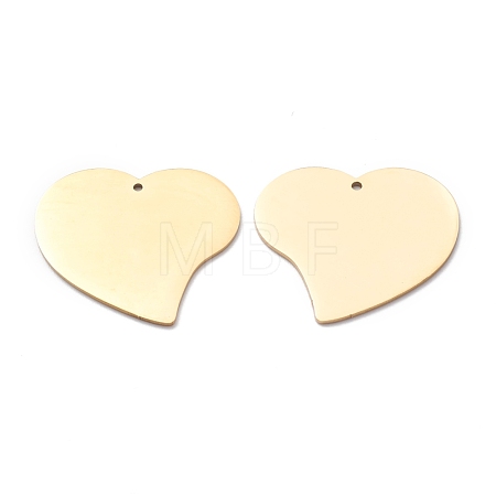 304 Stainless Steel Pendants STAS-Y006-11G-1