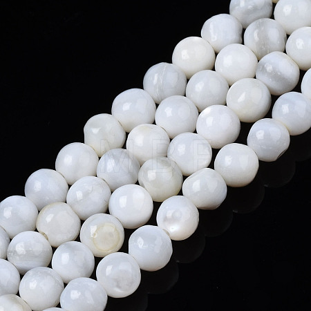 Natural Freshwater Shell Beads Strands BSHE-T009B-01A-1