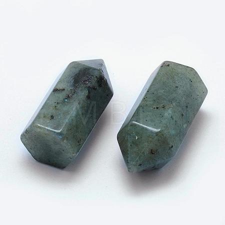Natural Labradorite laPointed Beads G-G760-K18-1